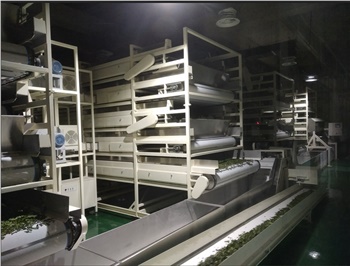 全自動(dòng)紅茶生產(chǎn)線