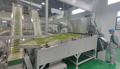 毛尖茶生產(chǎn)線(xiàn)